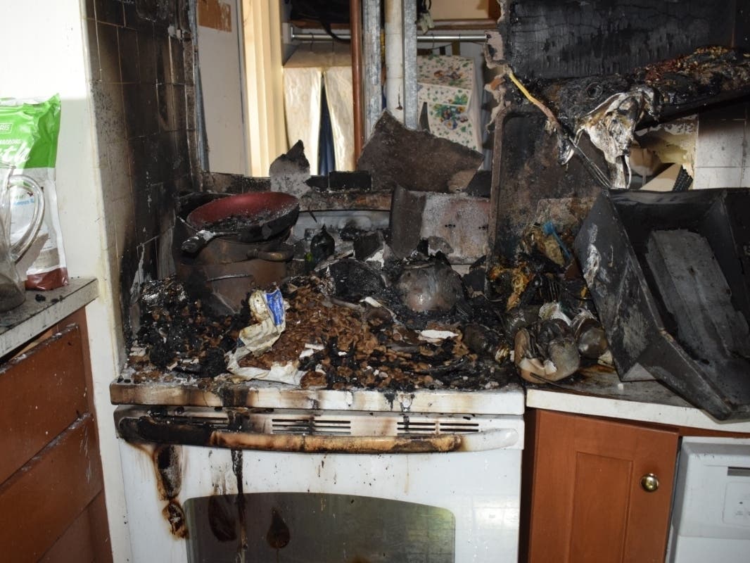 A dog is recovering after a fire in a Huntington high-rise unit on Thursday, April 29.