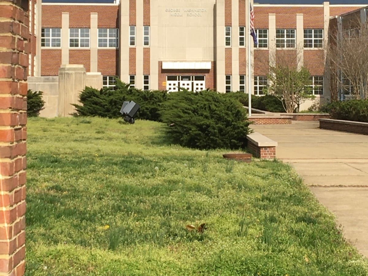 Alexandria City Council finalized a decision to use former school resource officer funds to create new mental health positions to serve students.