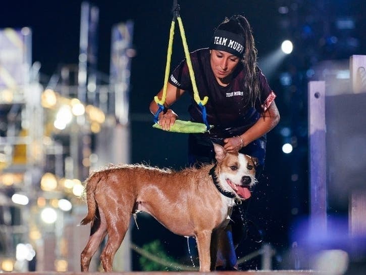 Murph, a pit bull and terrier mix from Woodbridge, will appear on "America's Top Dog" alongside his trainer, Chrissy Garzon. Garzon is a trainer at Off Leash K9 Training in Prince William County.