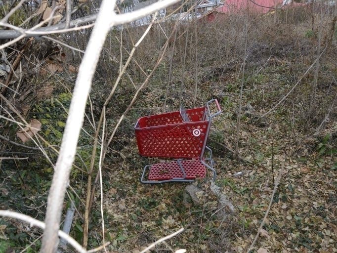 Police will work to determine if a missing California woman is the second victim whose remains were found with another victim's remains in a container near a shopping cart in Fairfax County.