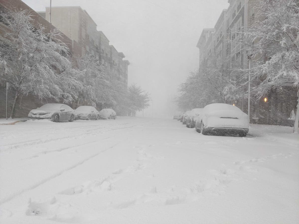 The snow removal ordinance in Alexandria requires residents to remove snow 48 hours after snow stops during a Level 2 storm. 