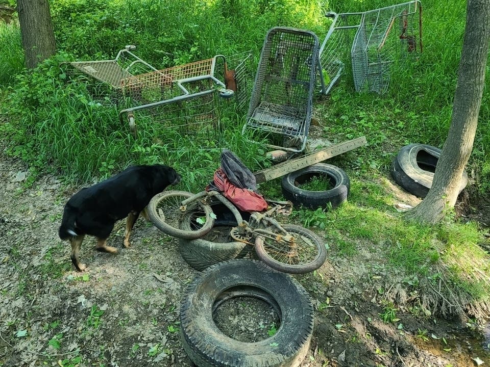 The next cleanup of Little Hunting Creek will be held on April 30. 