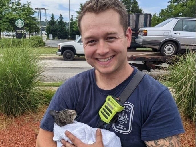 A kitten stuck under the hood of a vehicle in Hybla Valley had a purr-fect rescue by the fire department Monday.