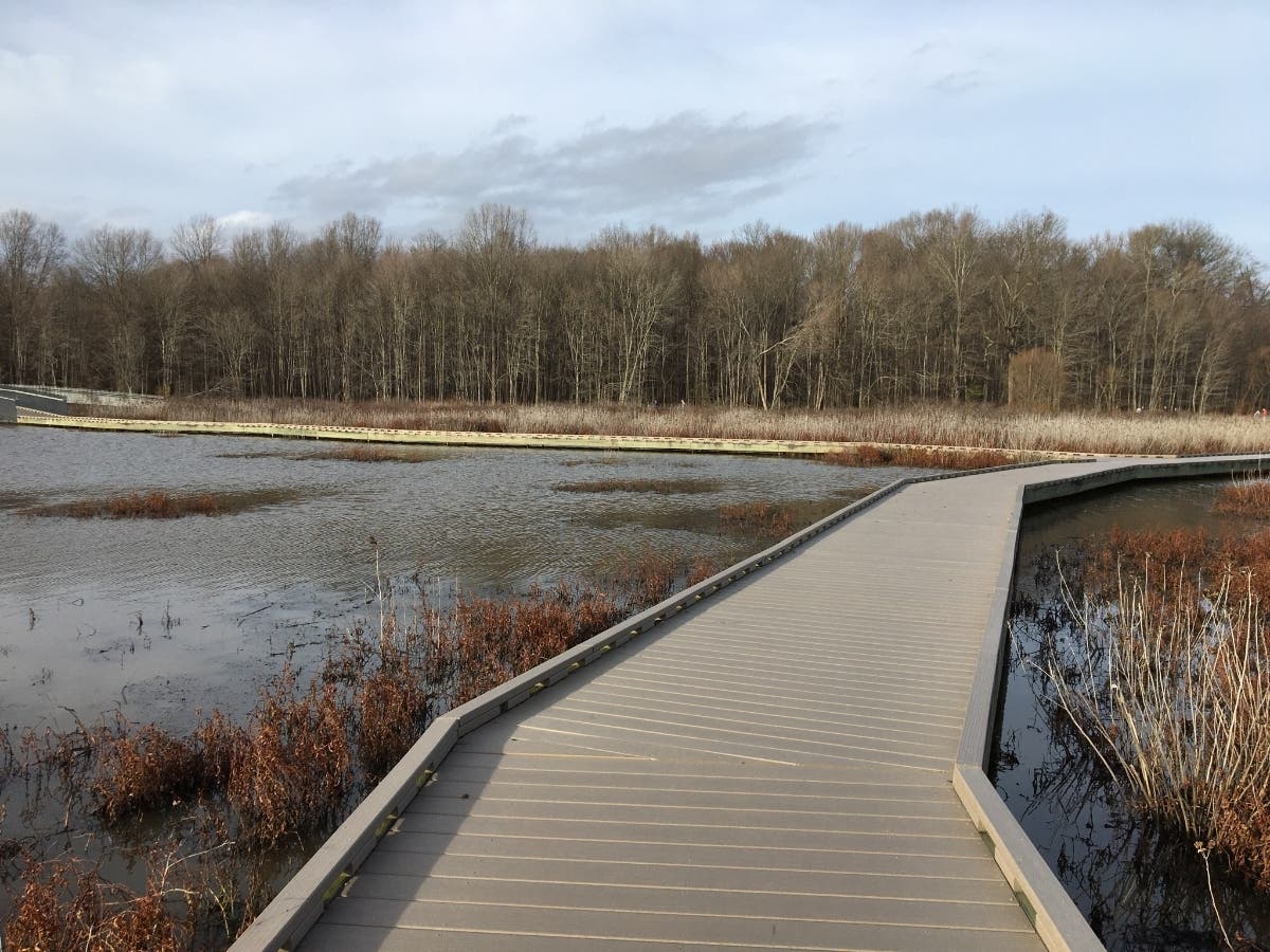 The Huntley Meadows visitor center hours will be impacted by staffing challenges in August.
