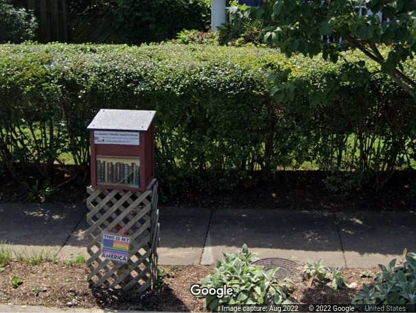 A Del Ray resident's Little Free Library carried banned titles to mark Banned Books Week. Renee Adams runs the Little Free Library and a poetry fence outside her home.
