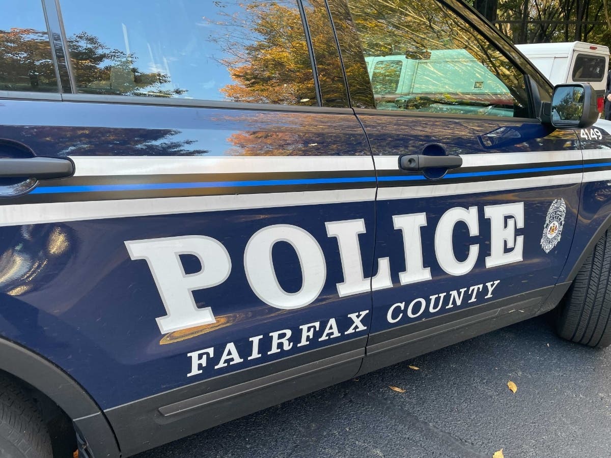 A pedestrian died Sunday in a crash on Arlington Boulevard in the West Falls Church area of Fairfax County.
