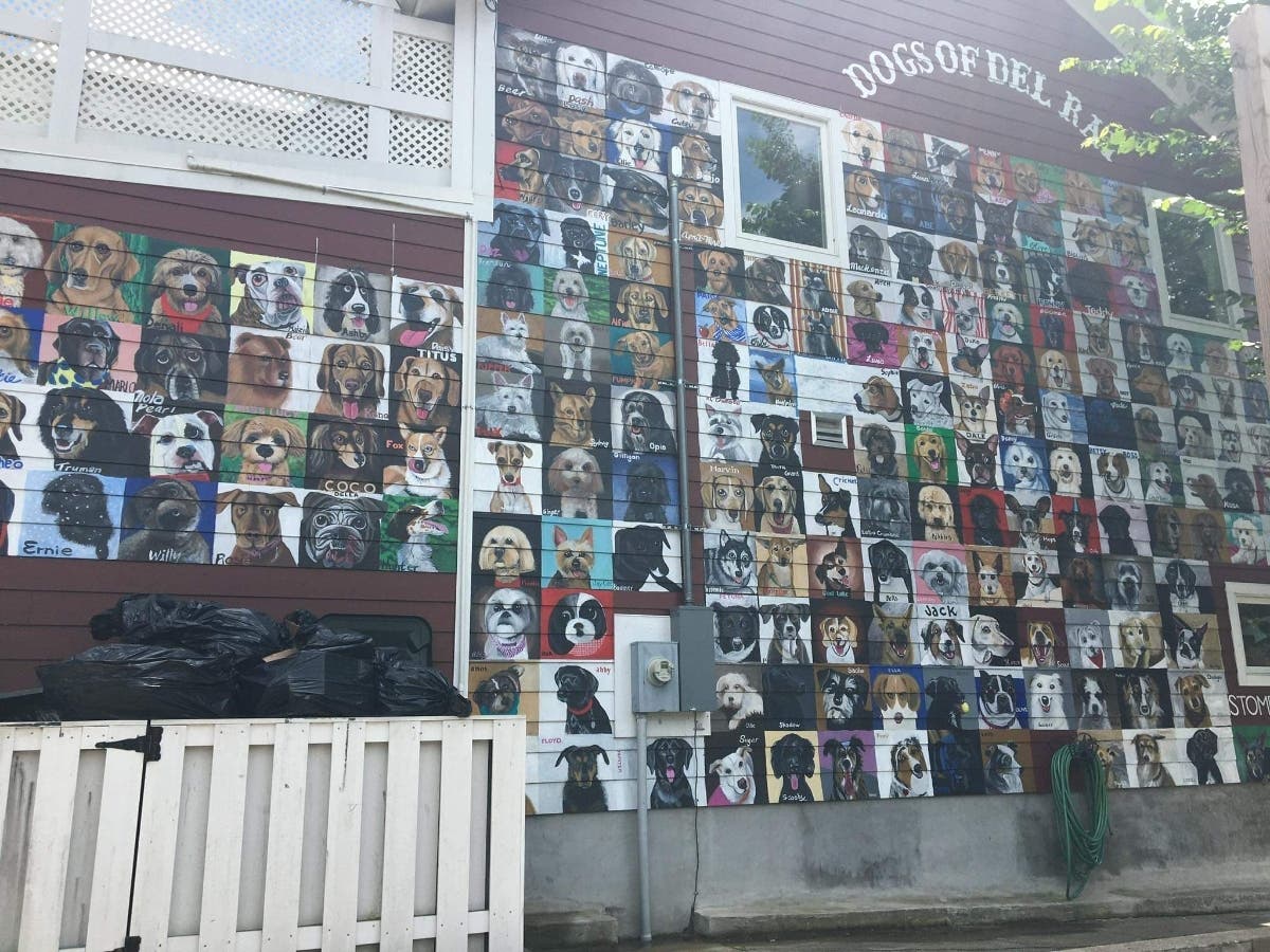 The first-ever Del Ray Dog Fest is planned for early April at George Washington Middle School. 