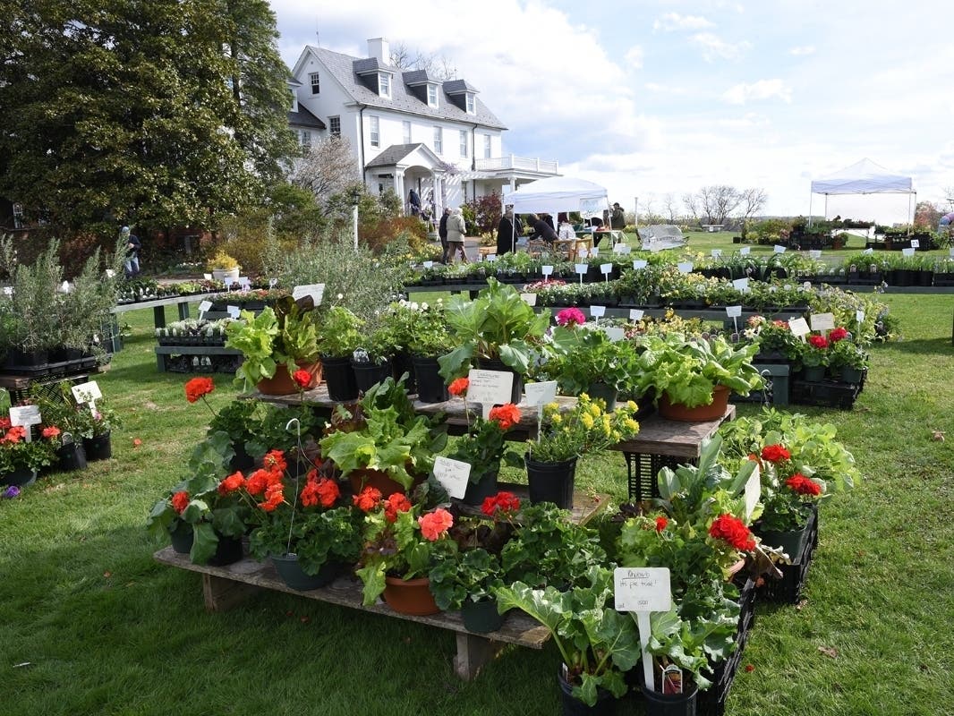 River Farm's Spring Garden Market will return with plants, tours, alpacas and more. 