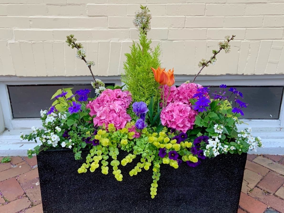 An Old Town Alexandria homes and gardens tour will be held on April 15 as part of Virginia's 90th annual Historic Garden Week.