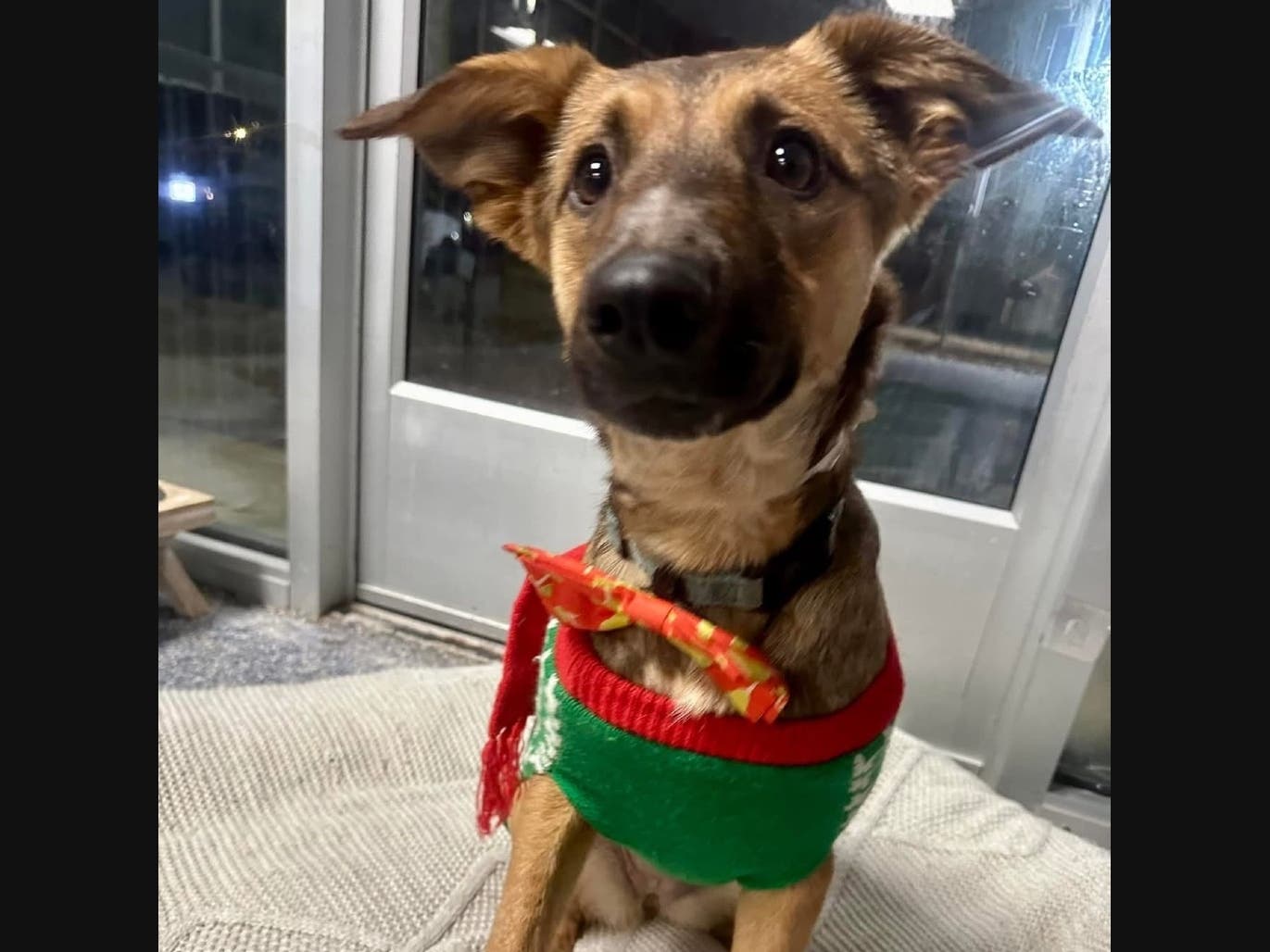 News small post card thumbnail