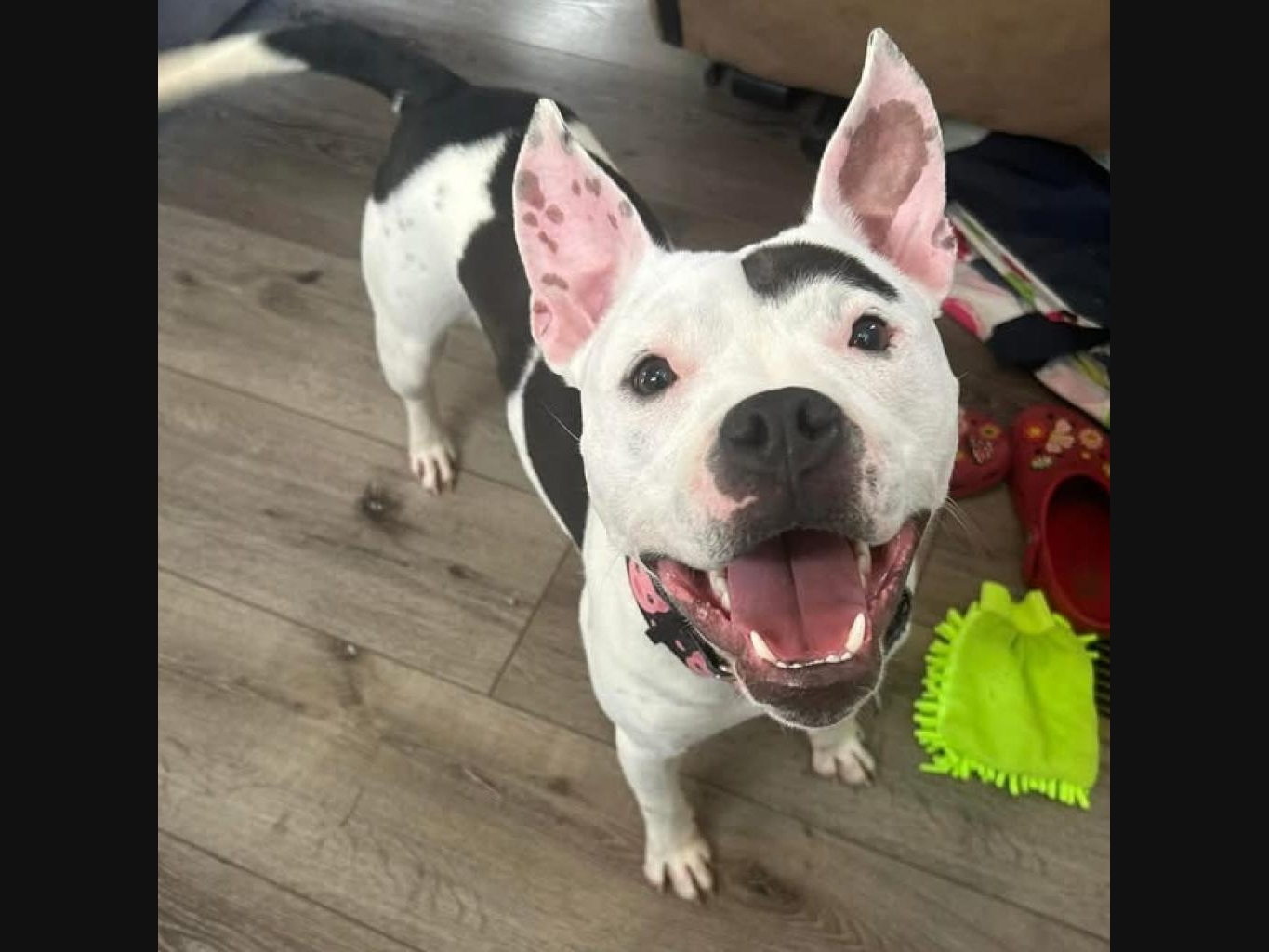 News small post card thumbnail