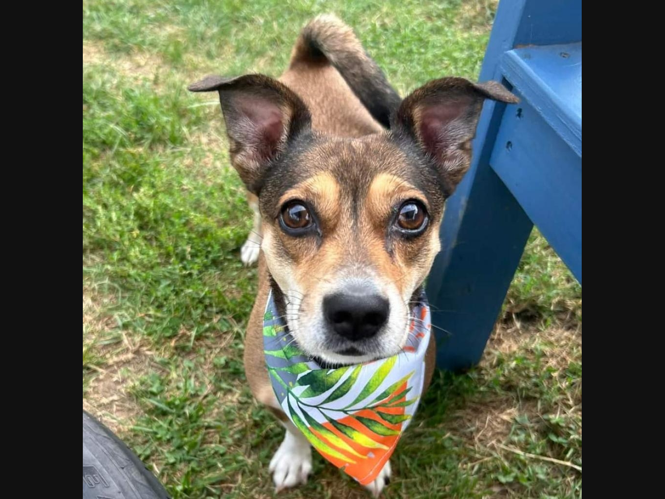 News small post card thumbnail