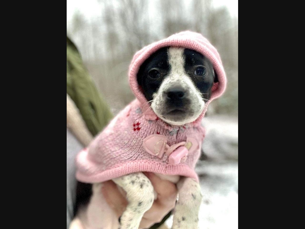 News small post card thumbnail