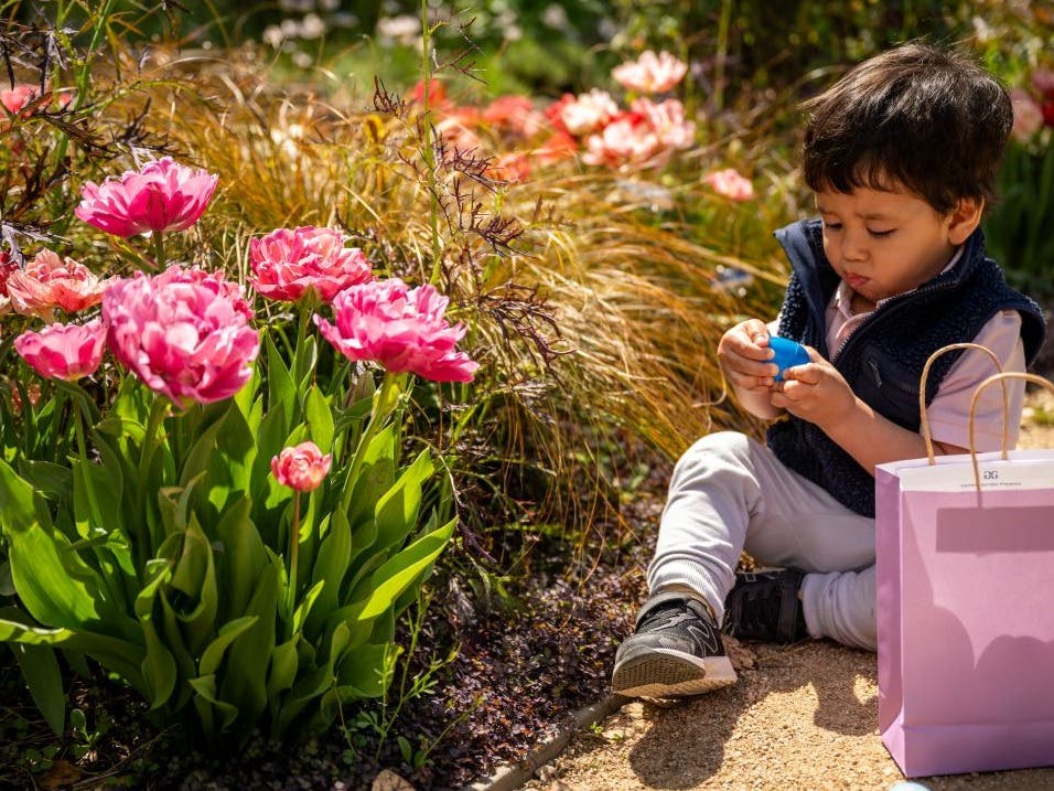 Easter Egg Hunt 2026