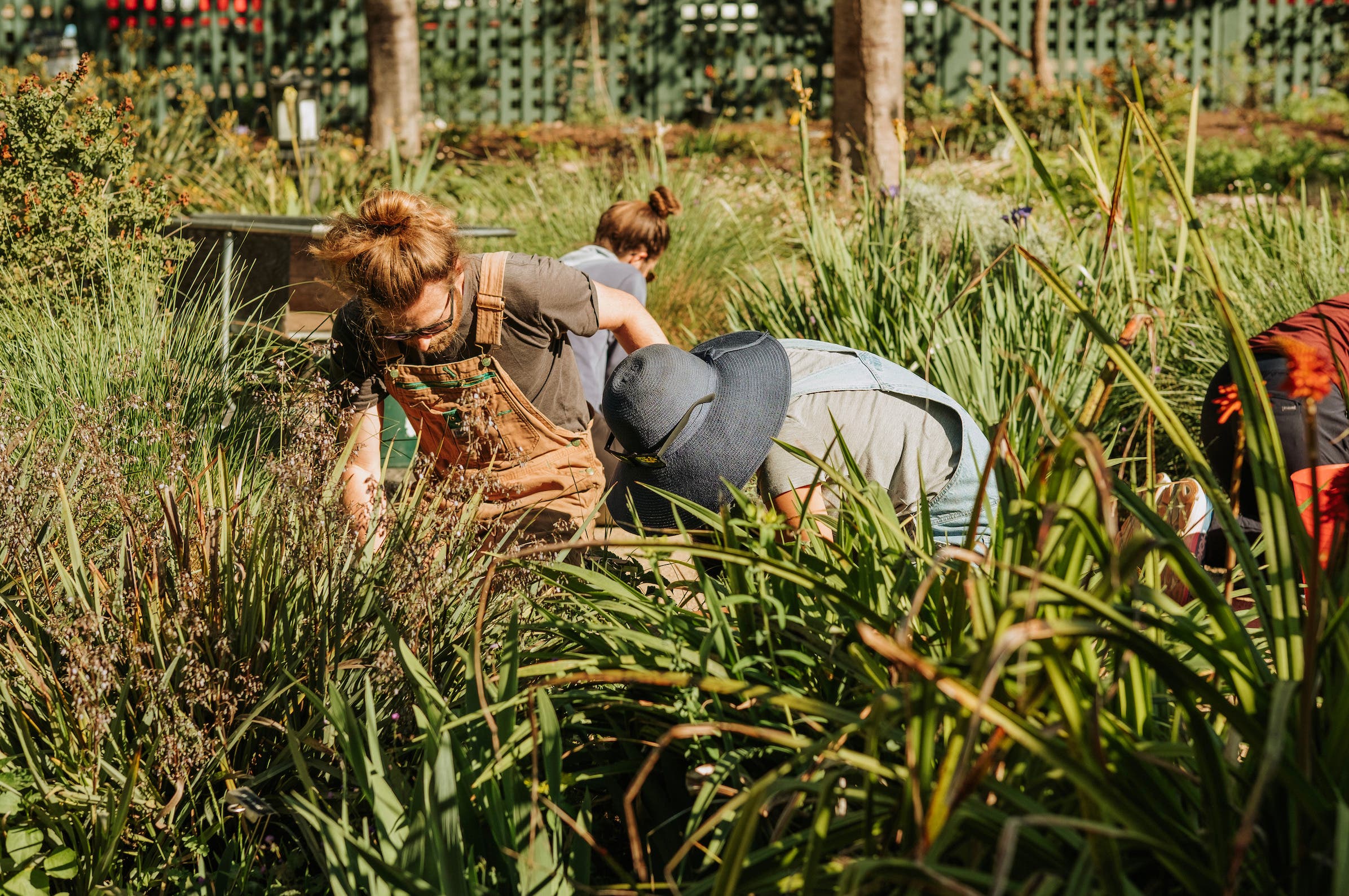Gardener's Hour