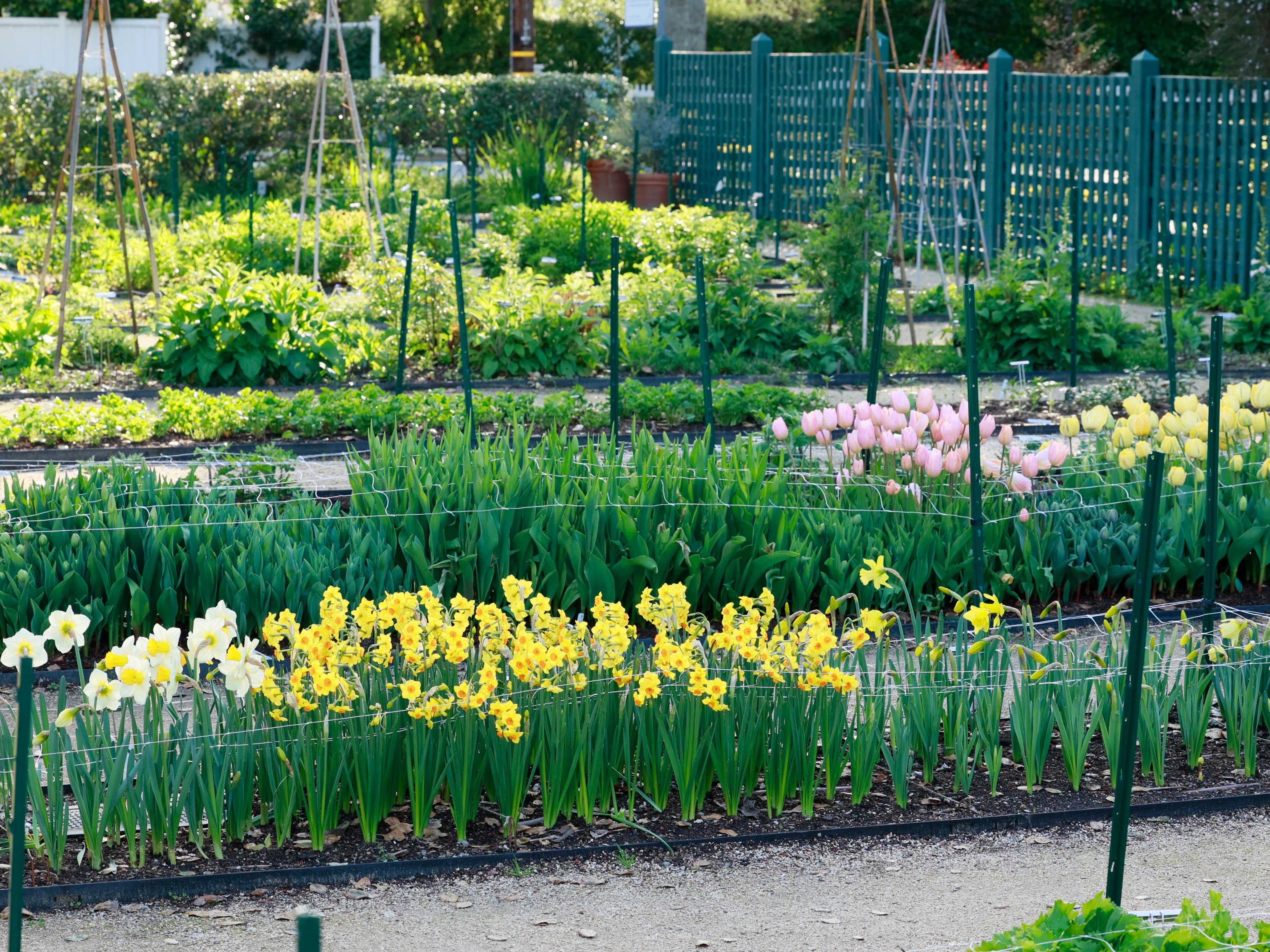August Tour of Elizabeth Gamble House and Garden
