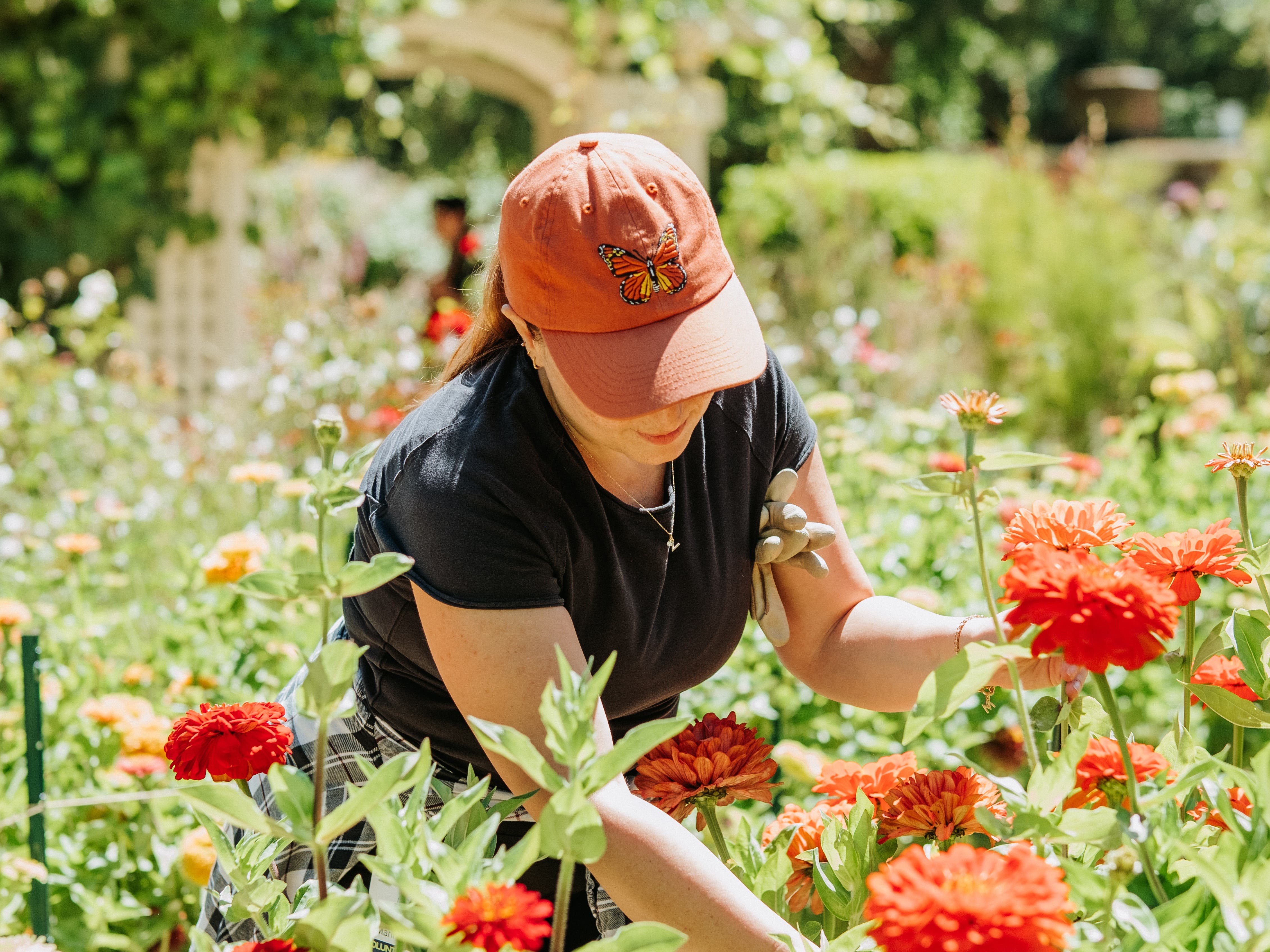 Gardener's Hour (September)