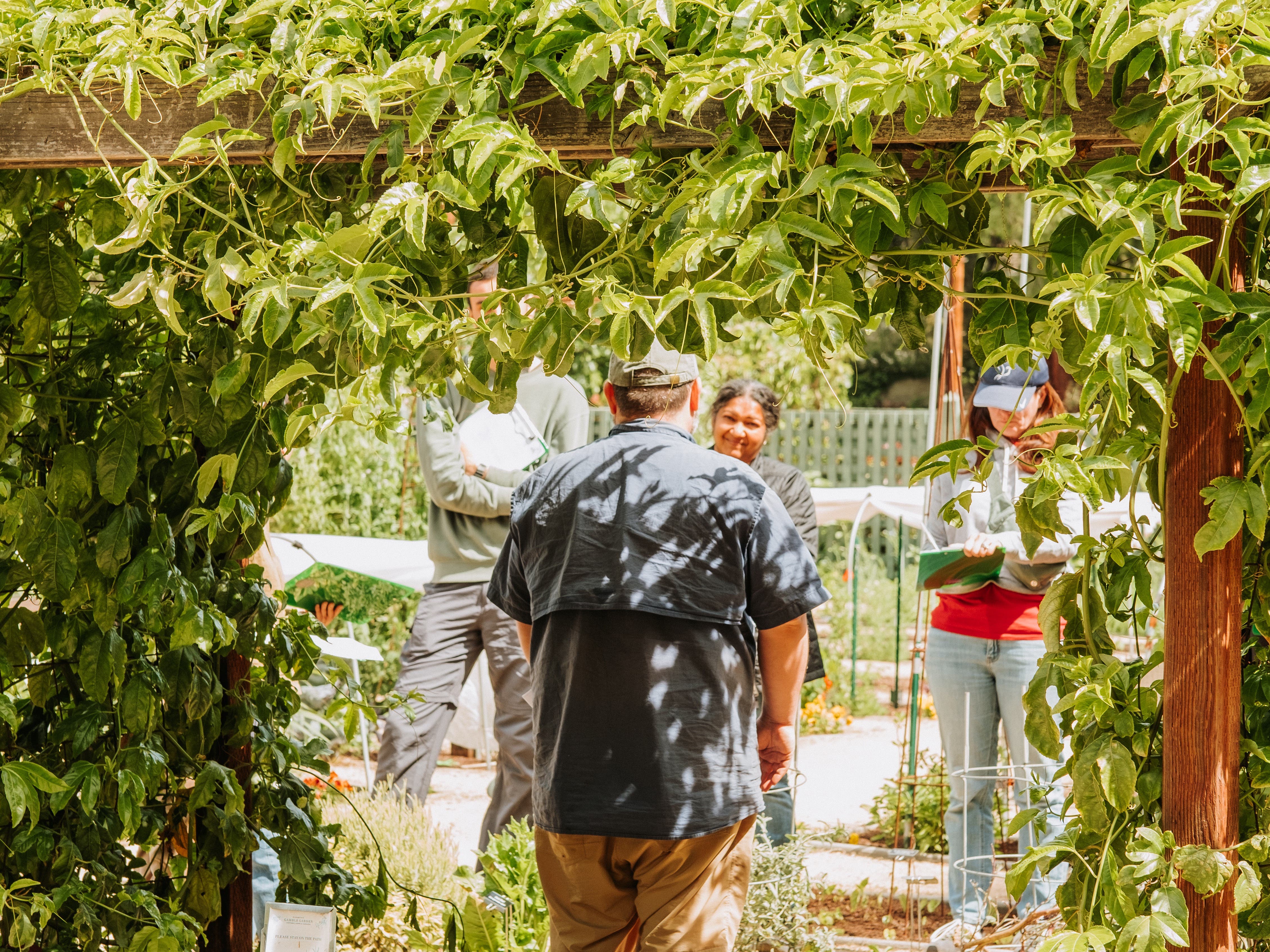 California Native Garden Design (Part 1)
