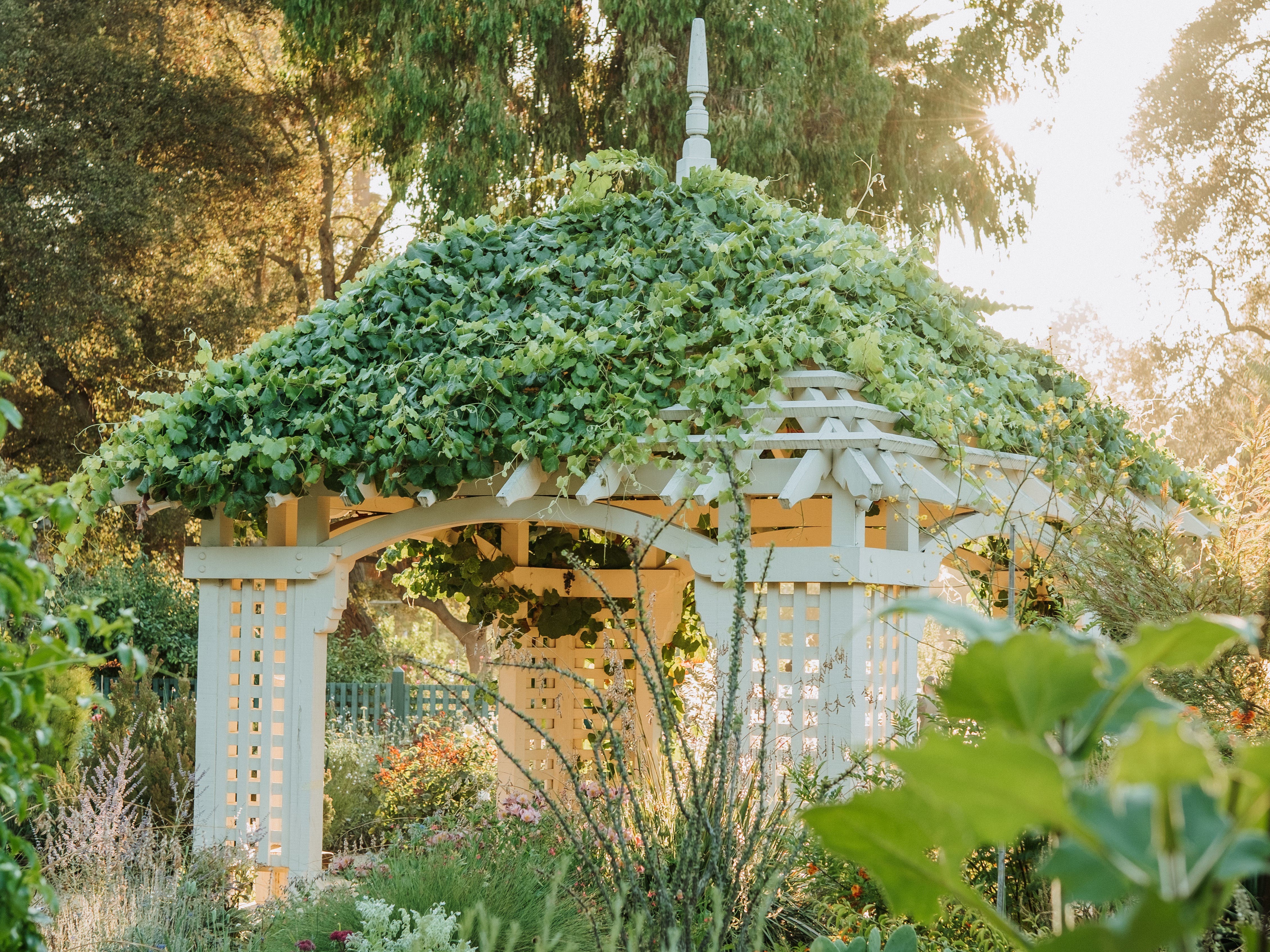 Free Gamble Garden Tour
