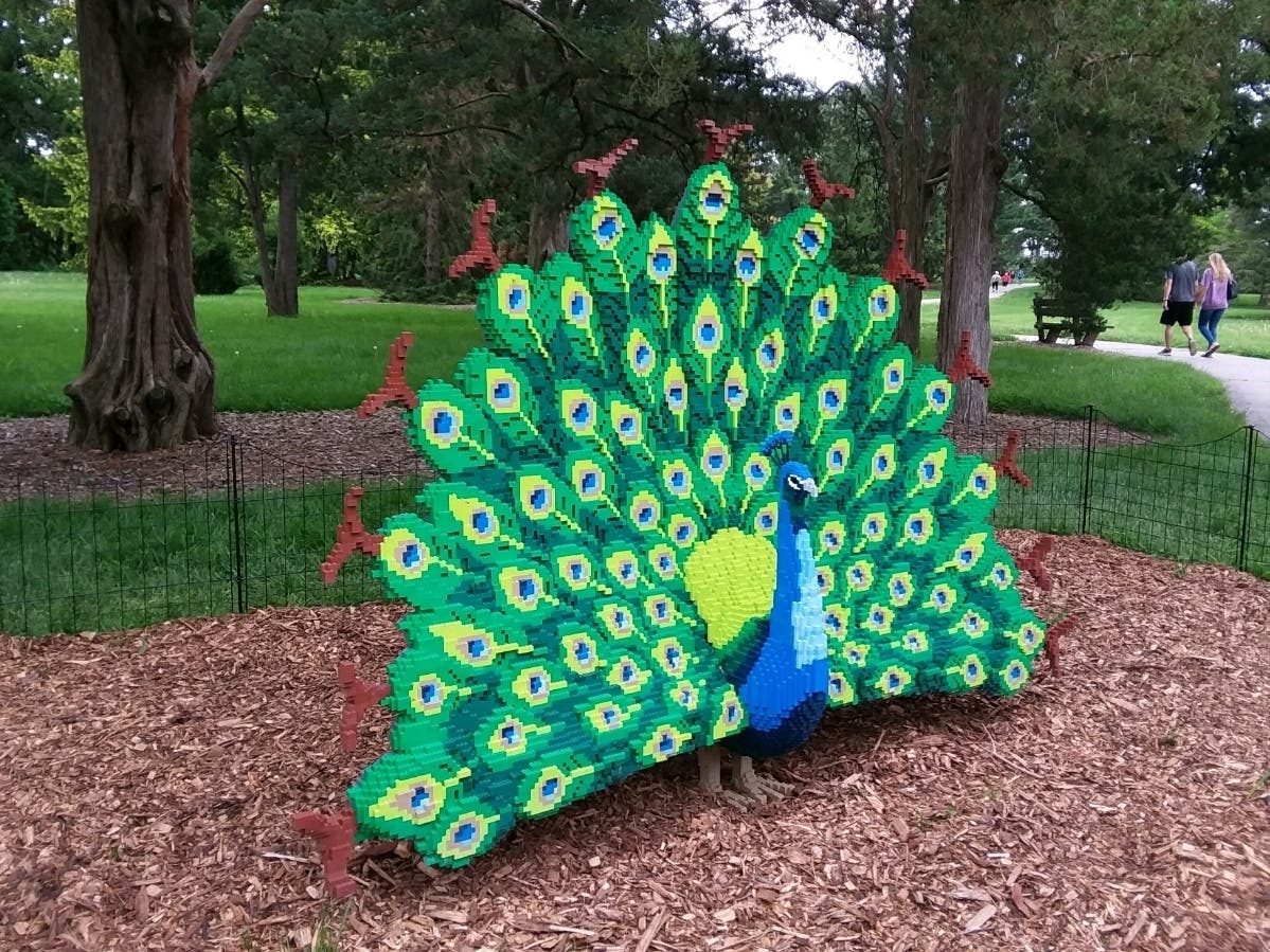This colorful peacock is one of 15 LEGO sculptures you can find at Morton Arboretum. 
