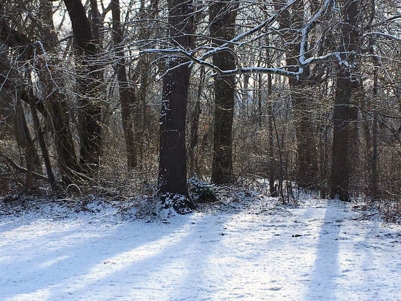 The Feb. 1 event will feature ice fishing, snowshoeing, geocaching, and more at Mayslake Peabody Estate. 