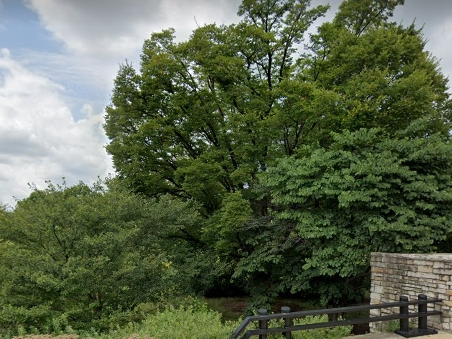 The Arboretum remained open "with limitations" and on-site closures. 
