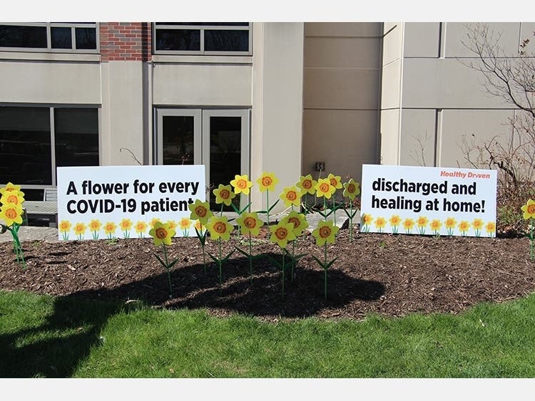 There are 162 daffodils outside of Edward Hospital, one for each patient who has beaten coronavirus to date. 