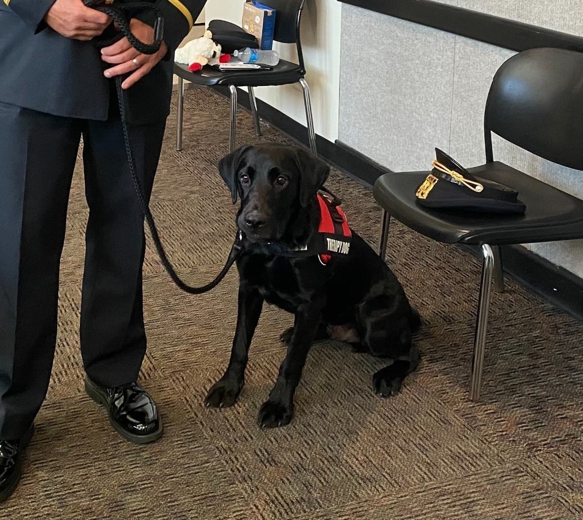 Meet Leo, the Orland Park Police Department's newest member. 