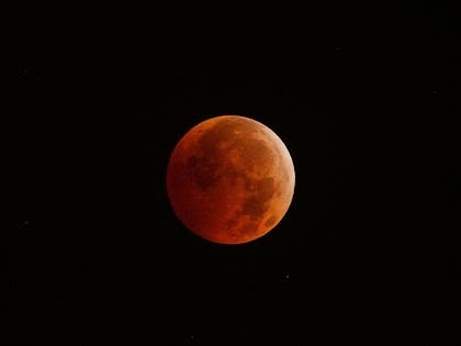 The full blood lunar eclipse on Nov. 19 is technically a partial eclipse, but at its peak, Earth will block 98 percent of the sun’s light from the moon, turning its face a burnished red. The eclipse will peak in Wheaton around 3 a.m. on Nov. 19. 
