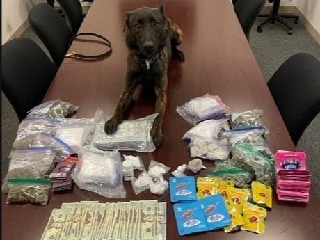 Police say they found 37.23 grams of fentanyl, 6.27 pounds of cocaine, 170.51 grams of crack-cocaine, 1.49 pounds of cannabis and $5,000 in cash beneath the floorboards of a car on I-88. 