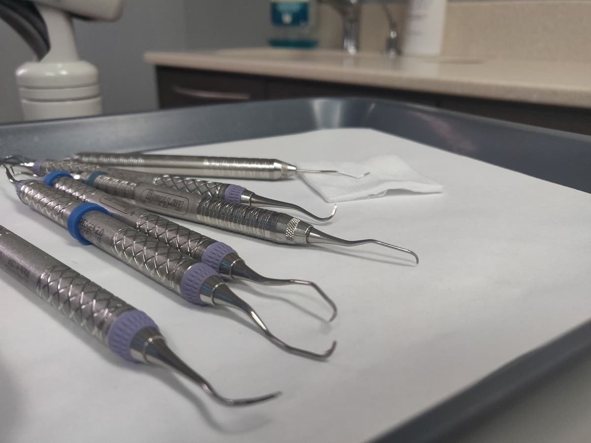 Diane Meyer, 61, is accused of practicing dentistry and charging clients after her license was revoked in 2013, according to Shaw Media. 