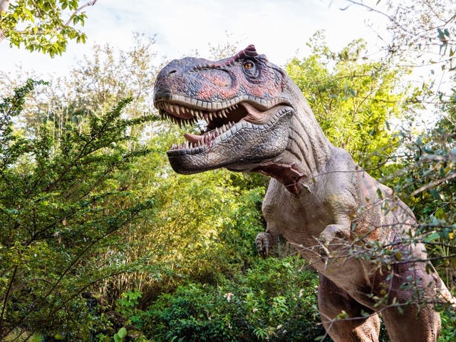 Giant Dinosaurs To Invade Downtown Wheaton | Wheaton, IL Patch