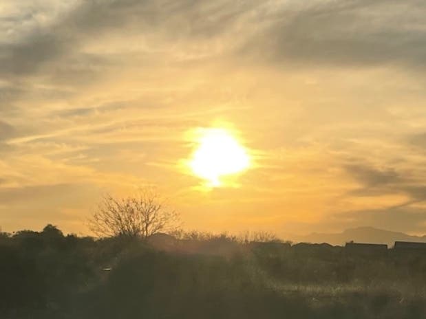 Police say the windows of the Mercedes Benz had been rolled down slightly when they found the dog inside. 