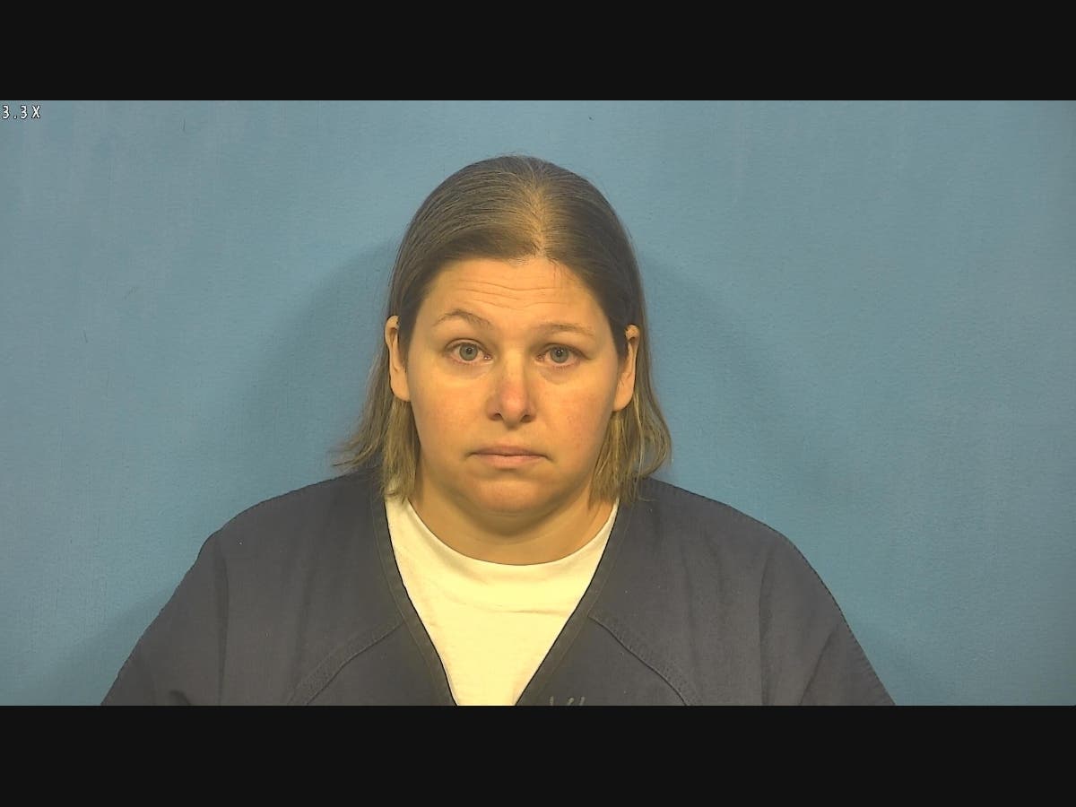 A Woodridge woman faces felony charges after she was accused of stealing more than $13,000 from a PTO for which she served as treasurer. 