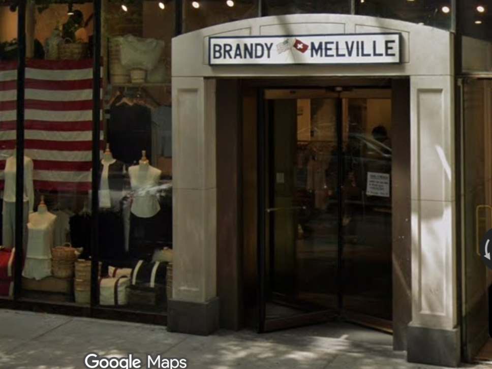 Brandy Melville, a Los Angeles-inspired clothing line, will bring its first suburban store to Naperville this summer.