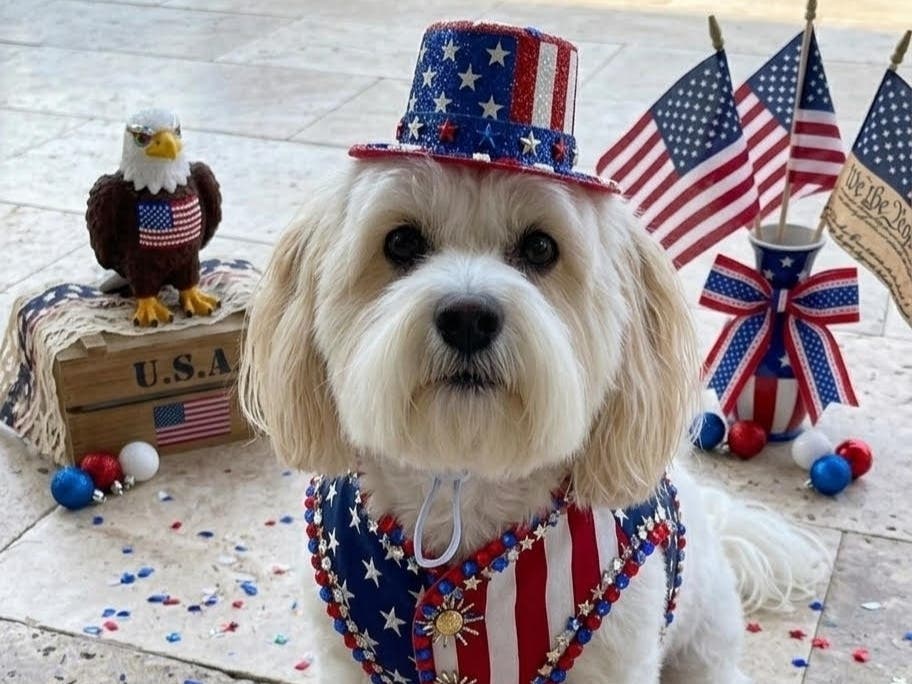 Miss Lacey shows her patriotic spirit. 