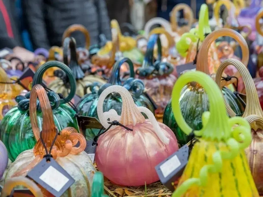This year, Morton Arboretum's Glass Pumpkin Patch features even more glass pumpkins for sale, along with glassblowing demonstrations.