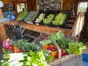 A basket of the weekly harvest, showcasing the fresh, seasonal variety members bring home from their CSA each week.