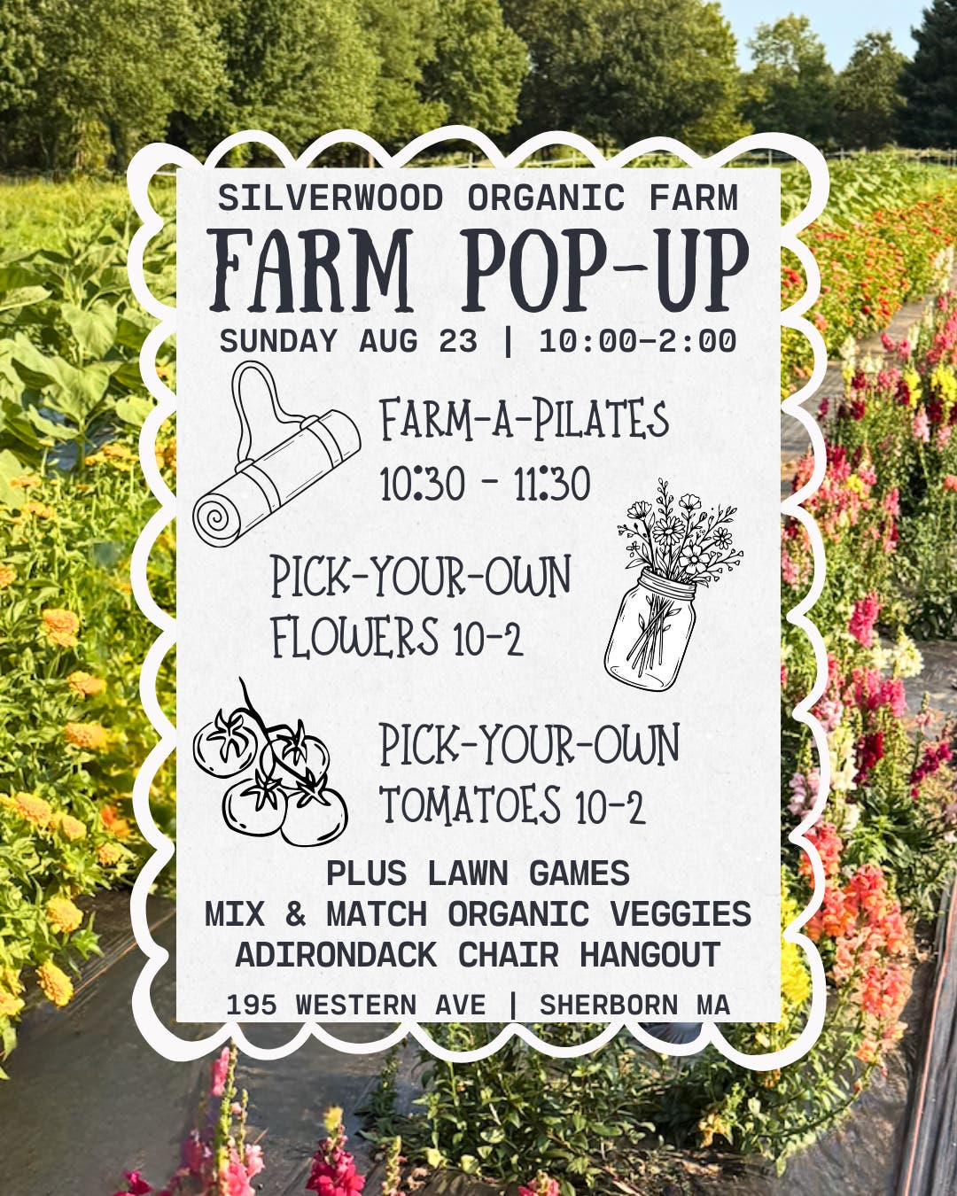 Fresh Air & Farm Fun: Sunday Farm Pop-Up at Silverwood