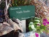 Nails Studio on Washington Street in Dedham Square has a small pot in the Blooms Program.