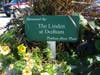 The Linden at Dedham, on Common Street in Dedham, has a pot just outside the town parking lot entrance.