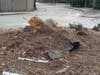 The Sponsor-A-Spot sign lies in the dirt from a recent accident that damaged the site.