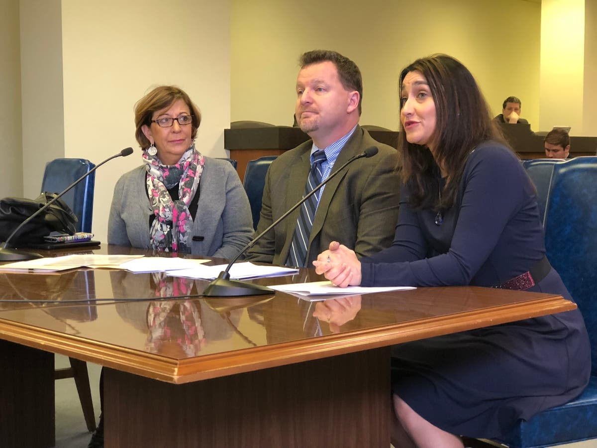State Rep. Sara Feigenholtz (D-Chicago) (left) at legislative hearing with IABH CEO Sara Howe in 2018.