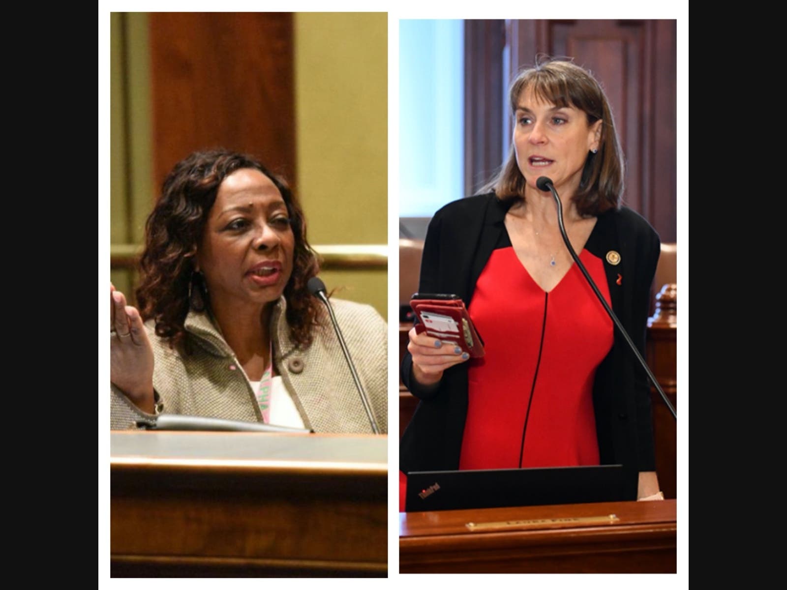 The Community Behavioral Health Association of Illinois will bestow its prestigious “2021 Legislator of the Year” award on Senator Mattie Hunter (D-Chicago) and Senator Laura Fine (D-Glenview) at its annual winter conference in Schaumburg on Dec. 6.