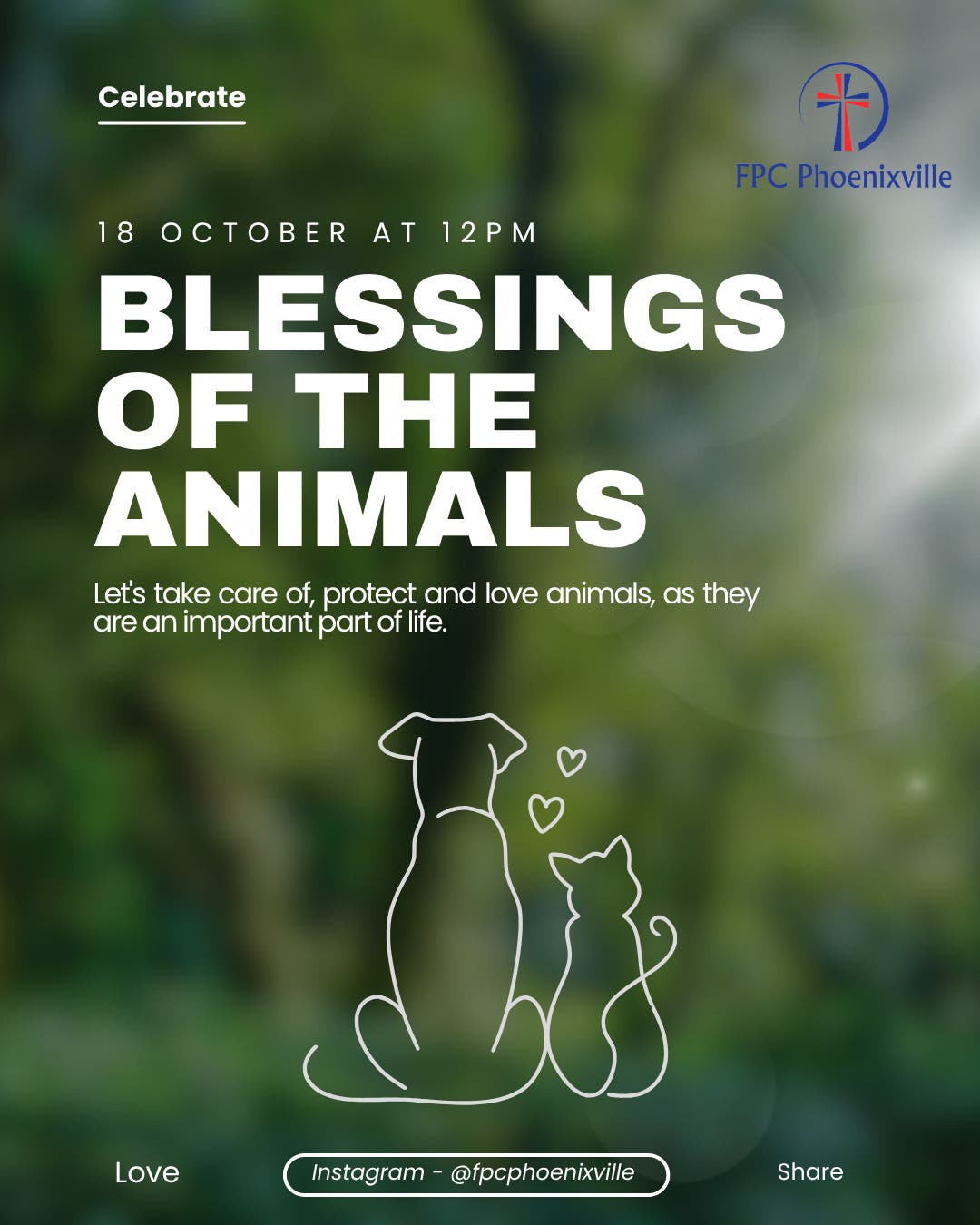 Blessings Of The Animals