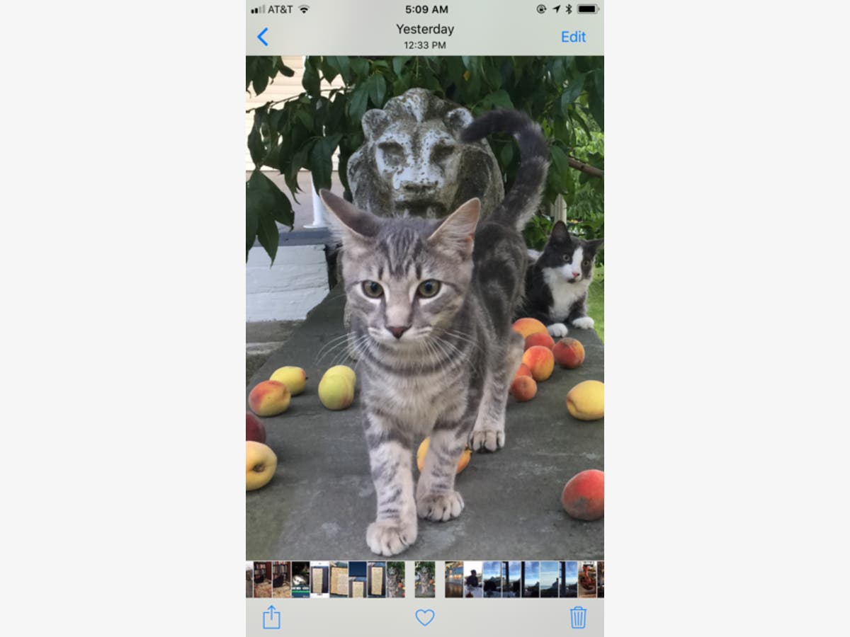 News small post card thumbnail