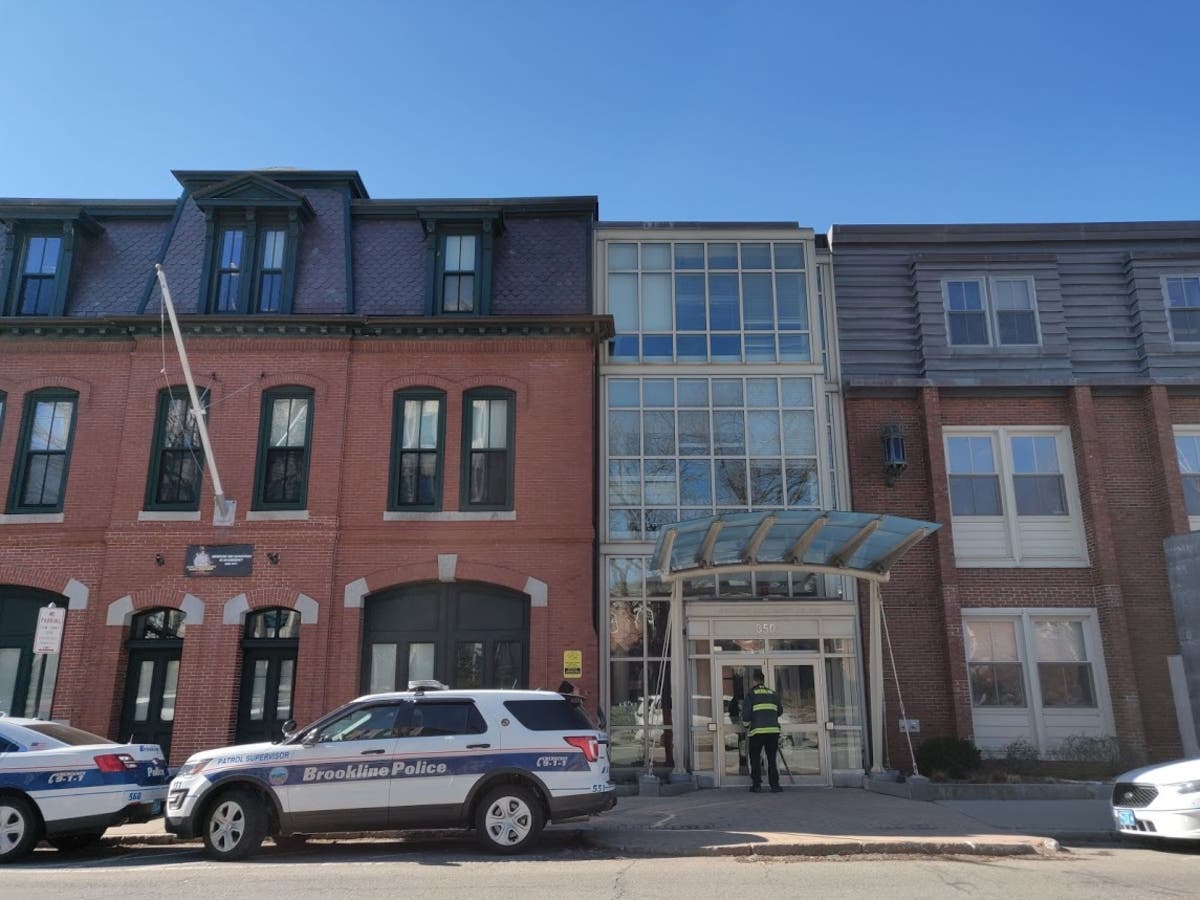 Playground Fox, Shoplifters, Fridge Fire Brookline Police Logs