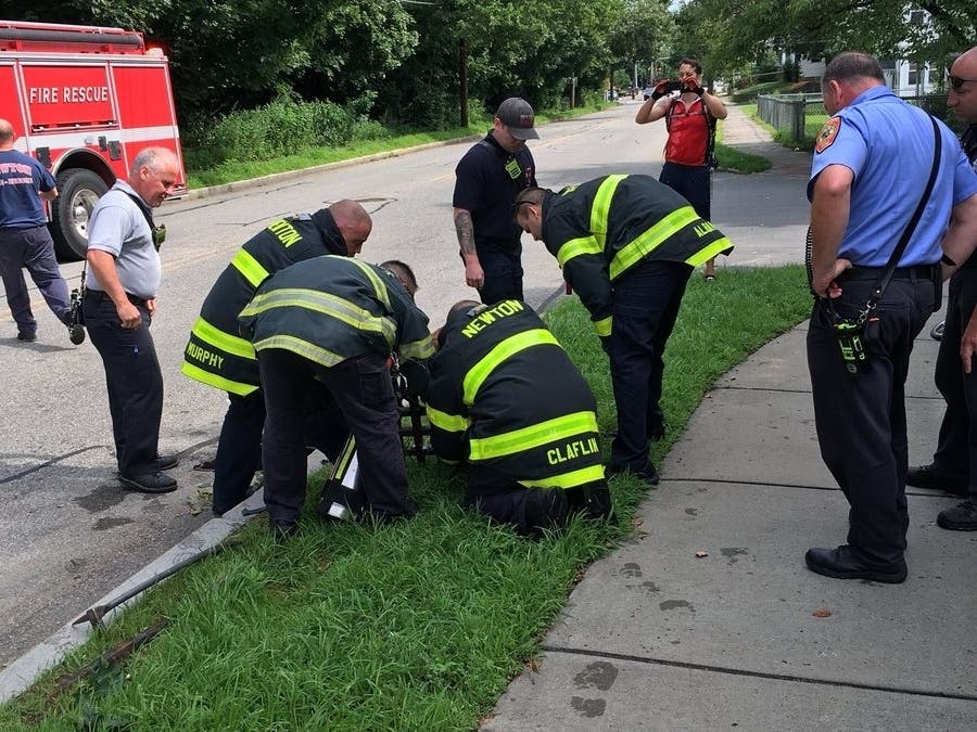 Raccoon Rescued With A Little Help From Newton Fire Department | Newton ...