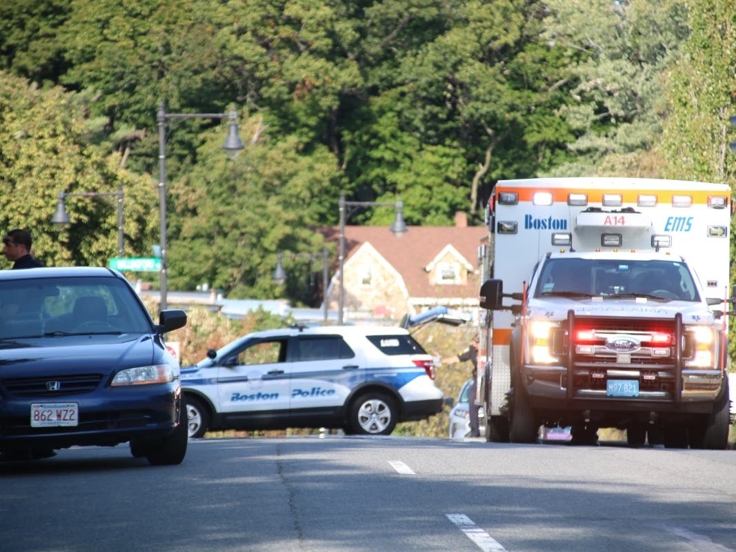 Pedestrian Sent To Hospital After Hit By Car In Brighton | Boston, MA Patch