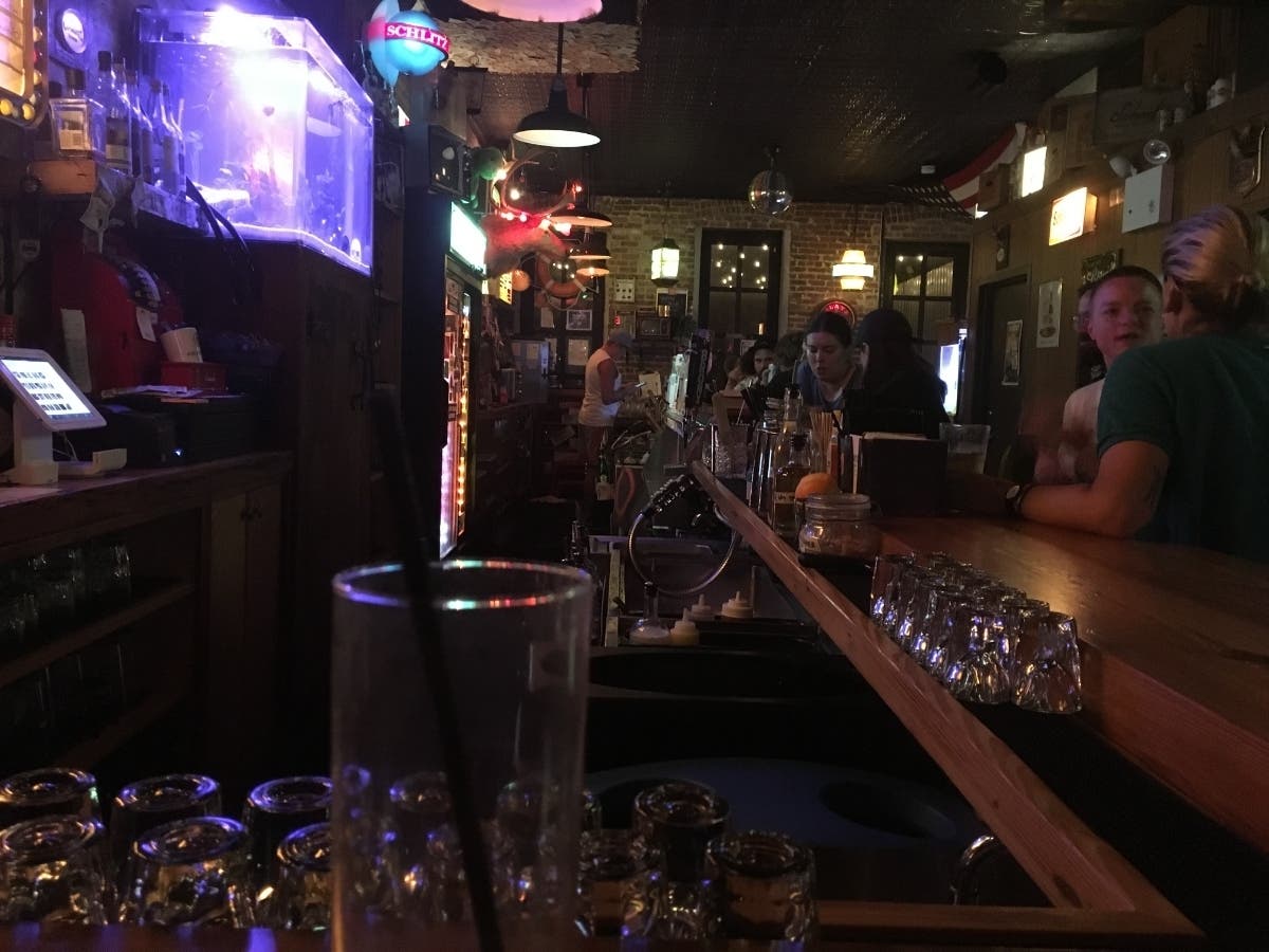 Turtle Races Are All The Rage At This Bed-Stuy Bar | Bed-Stuy, NY Patch